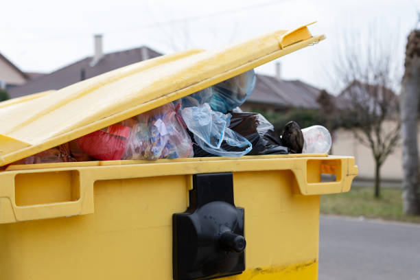  Franklin, VA Junk Removal Pros
